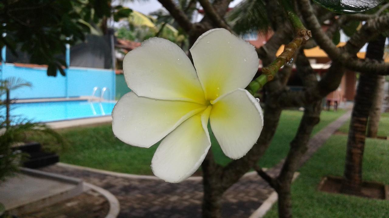 Larn'S Villa Hotel & Apartment Wadduwa Bagian luar foto